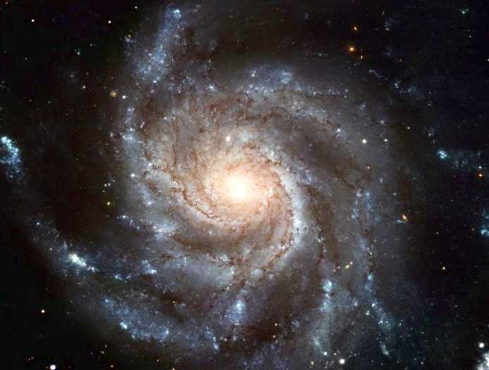 M101