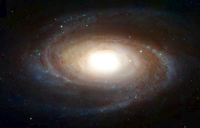 M81