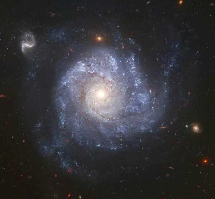 NGC 1309